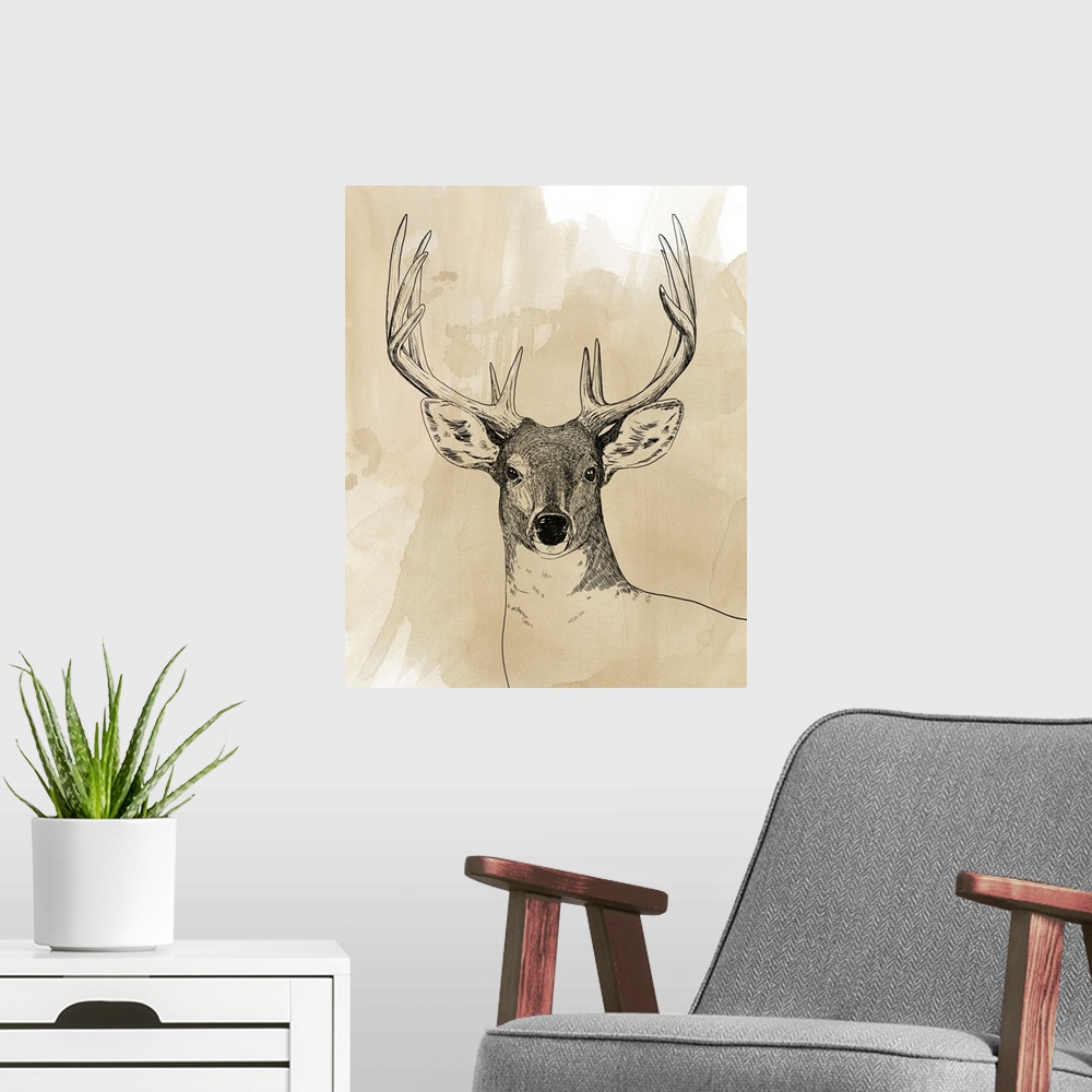 A modern room featuring Burnished Buck II