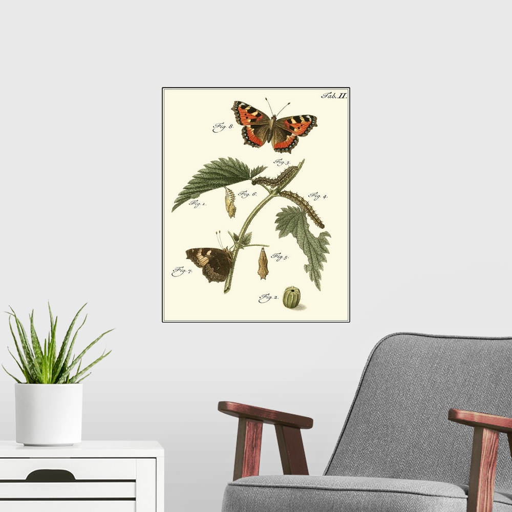 A modern room featuring Butterfly Metamorphosis I