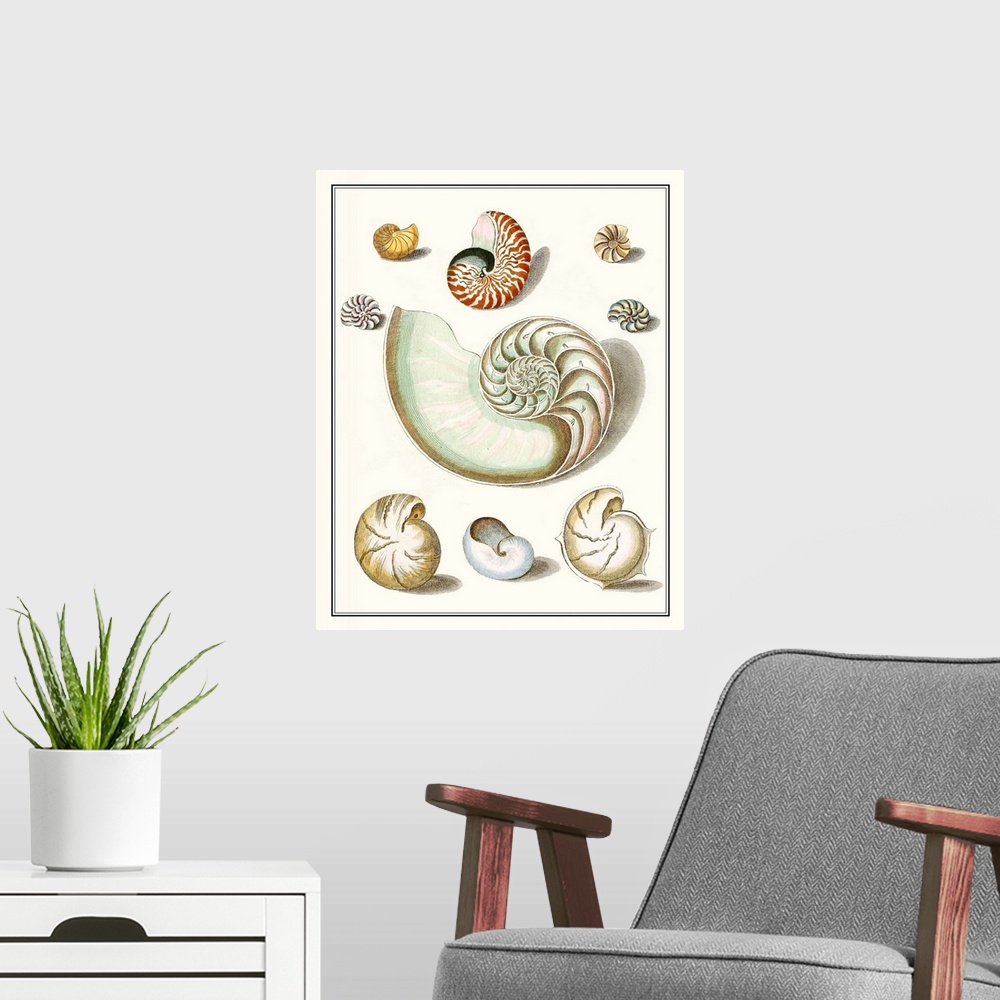 A modern room featuring Vintage seashell illustrations in warm earth tones on a beige background.