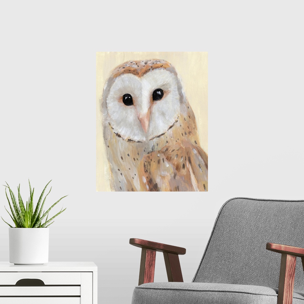 A modern room featuring Common Barn Owl I