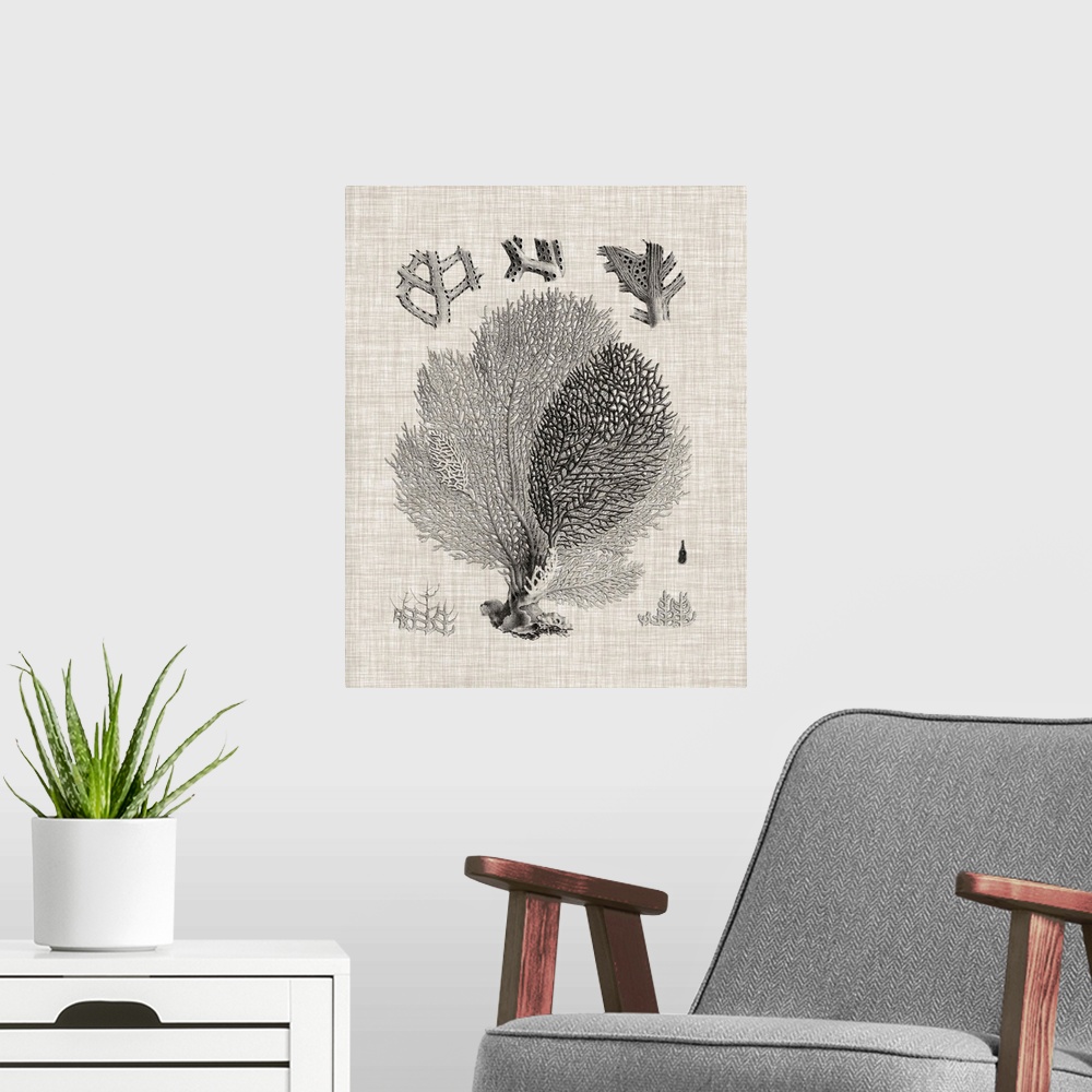 A modern room featuring A decorative vintage illustration of group of coral on a linen backdrop.