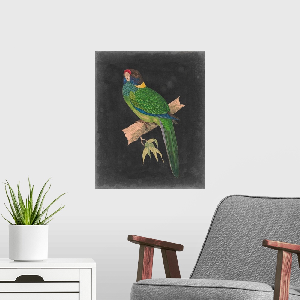 A modern room featuring Dramatic Parrots II