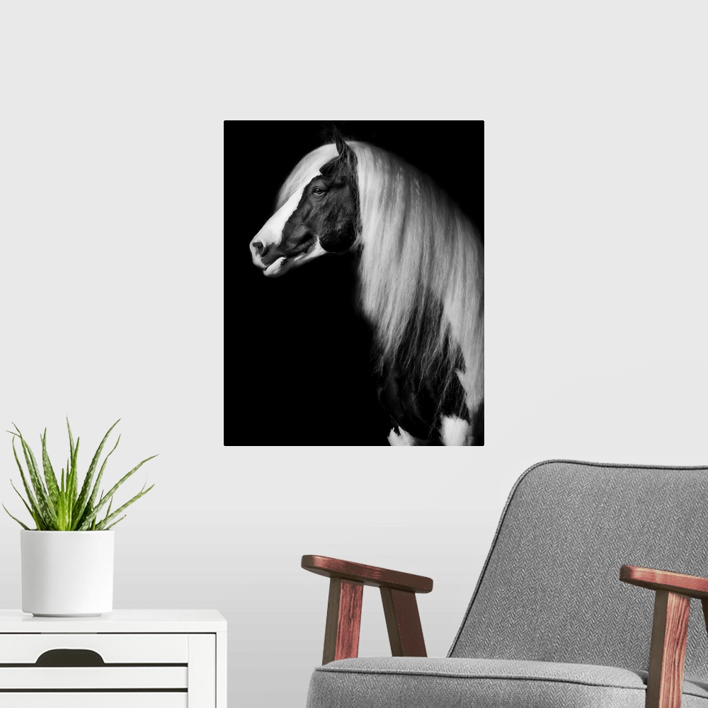 A modern room featuring Equine Portrait VII