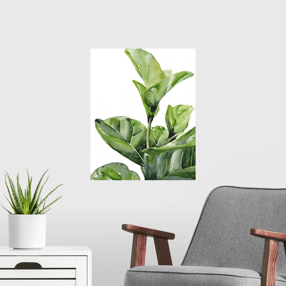 A modern room featuring Fiddle Fig I