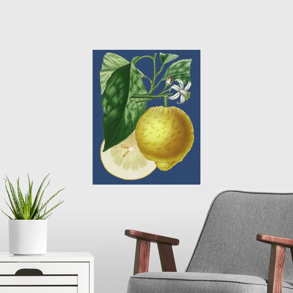 A modern room featuring French Lemon on Navy I