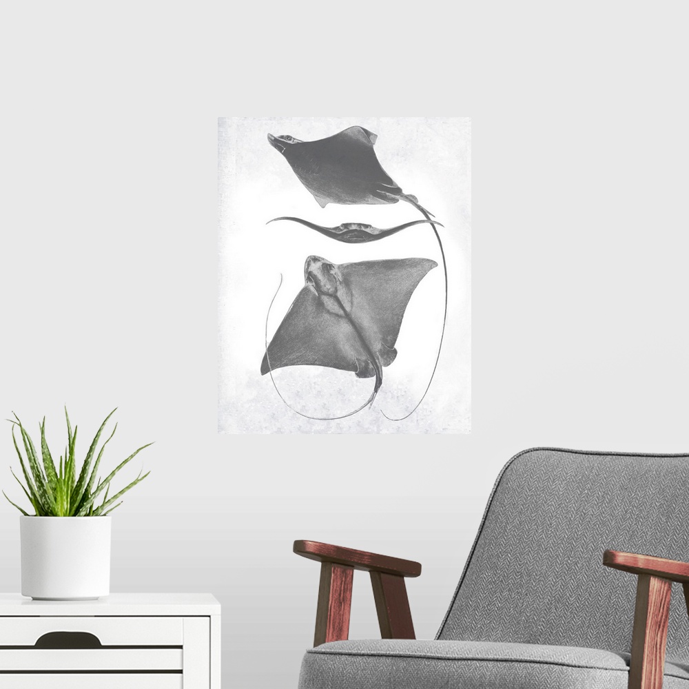 A modern room featuring Grey-scale illustration of a stingray.