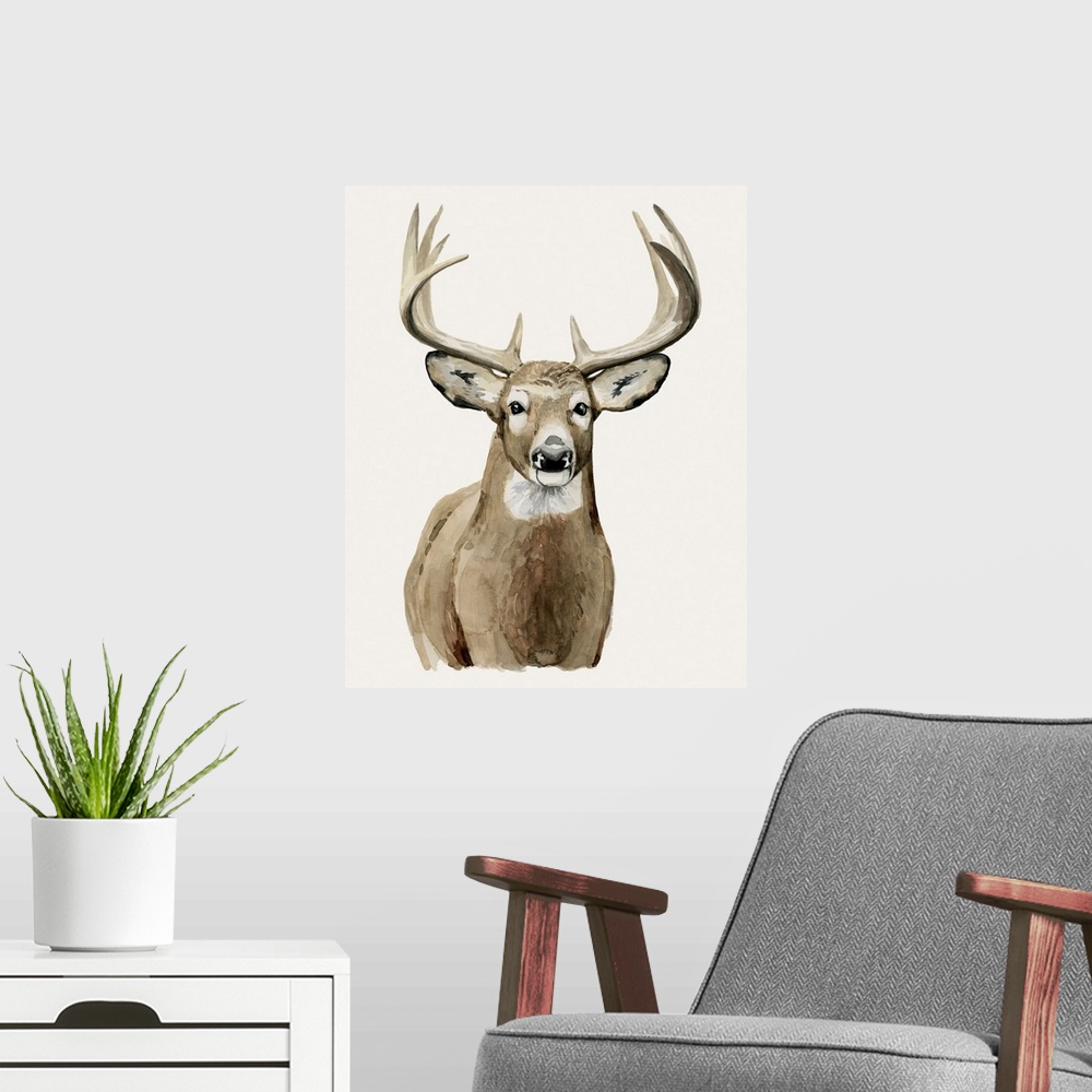 A modern room featuring Handsome Whitetail II