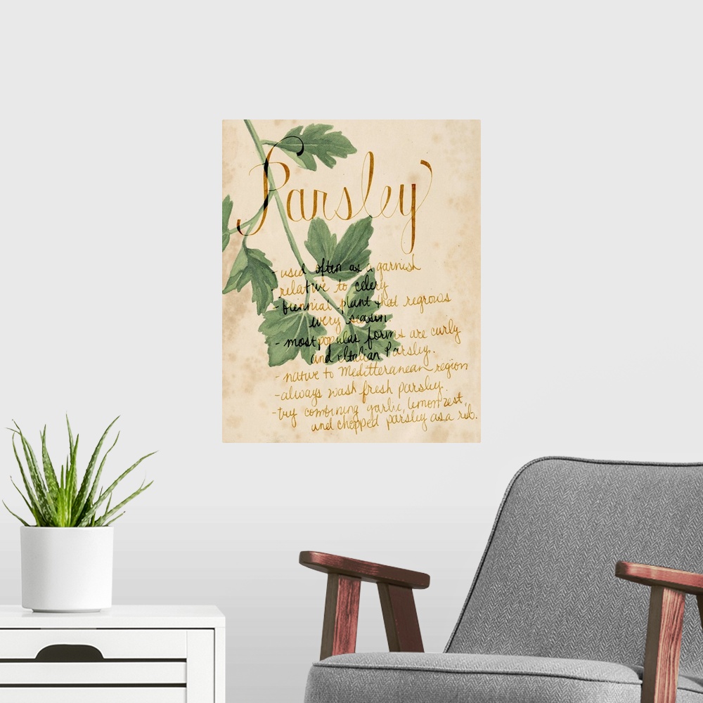 A modern room featuring Herb Study V