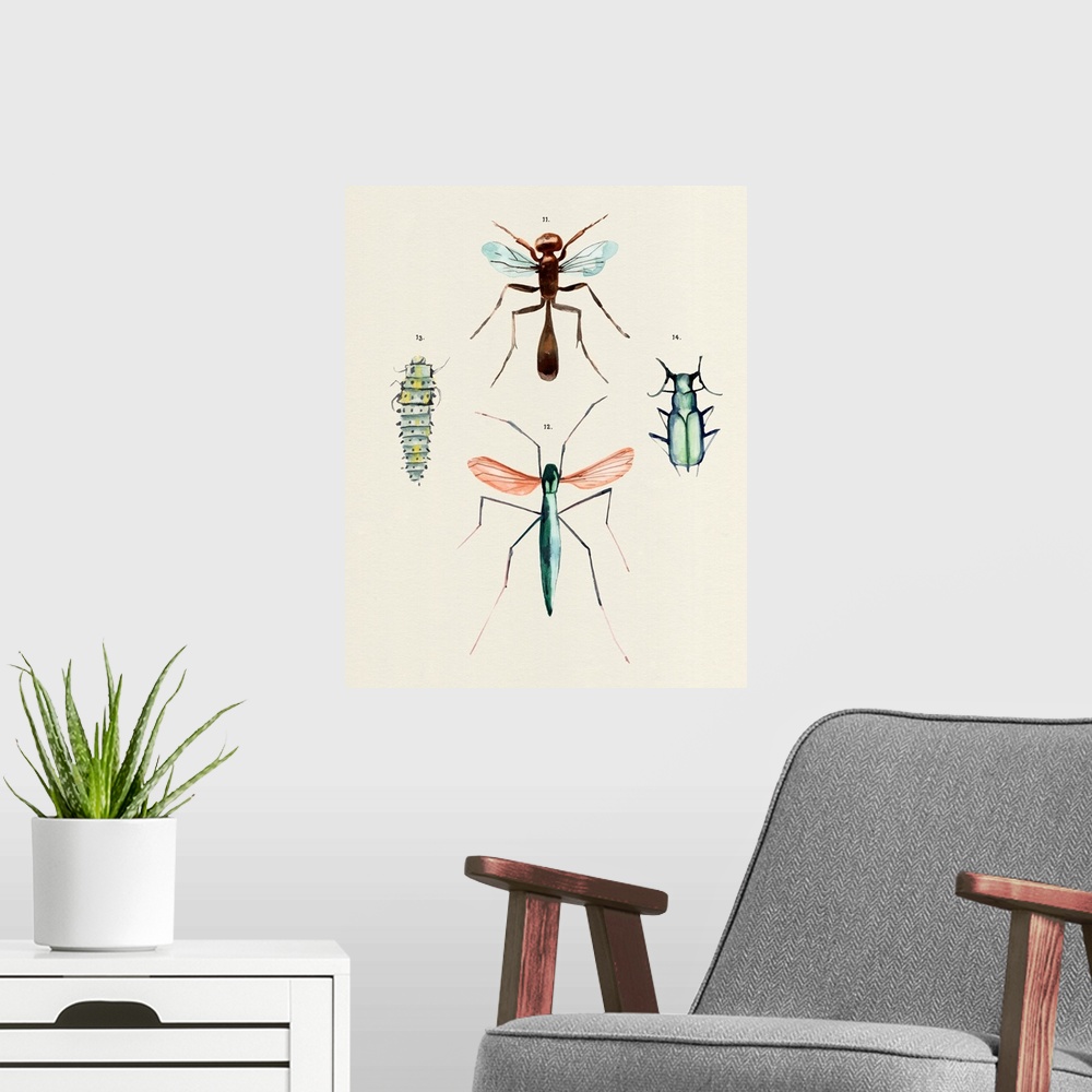 A modern room featuring Insect Varieties III