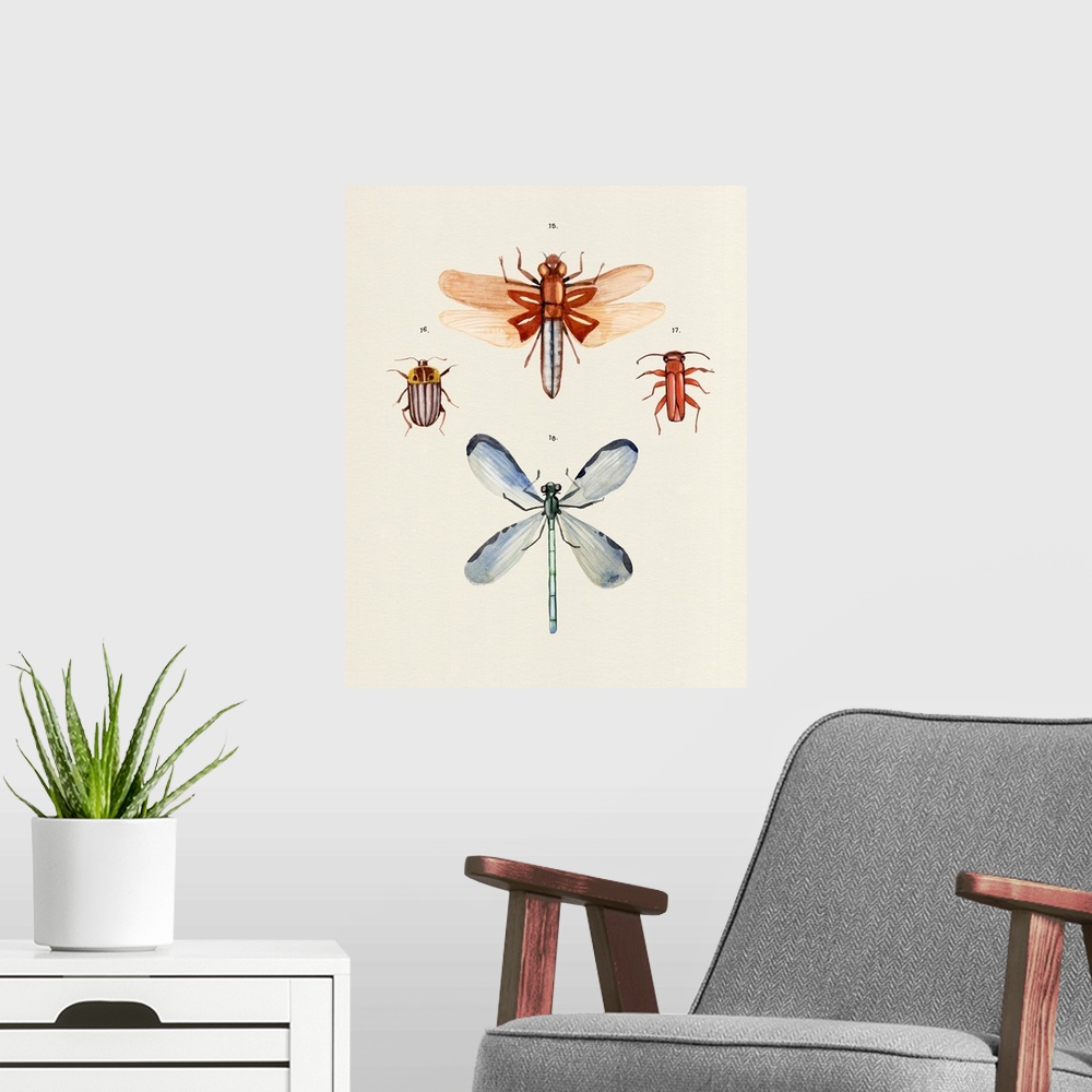 A modern room featuring Insect Varieties IV