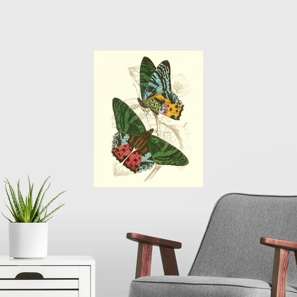 A modern room featuring Jardine Butterflies III