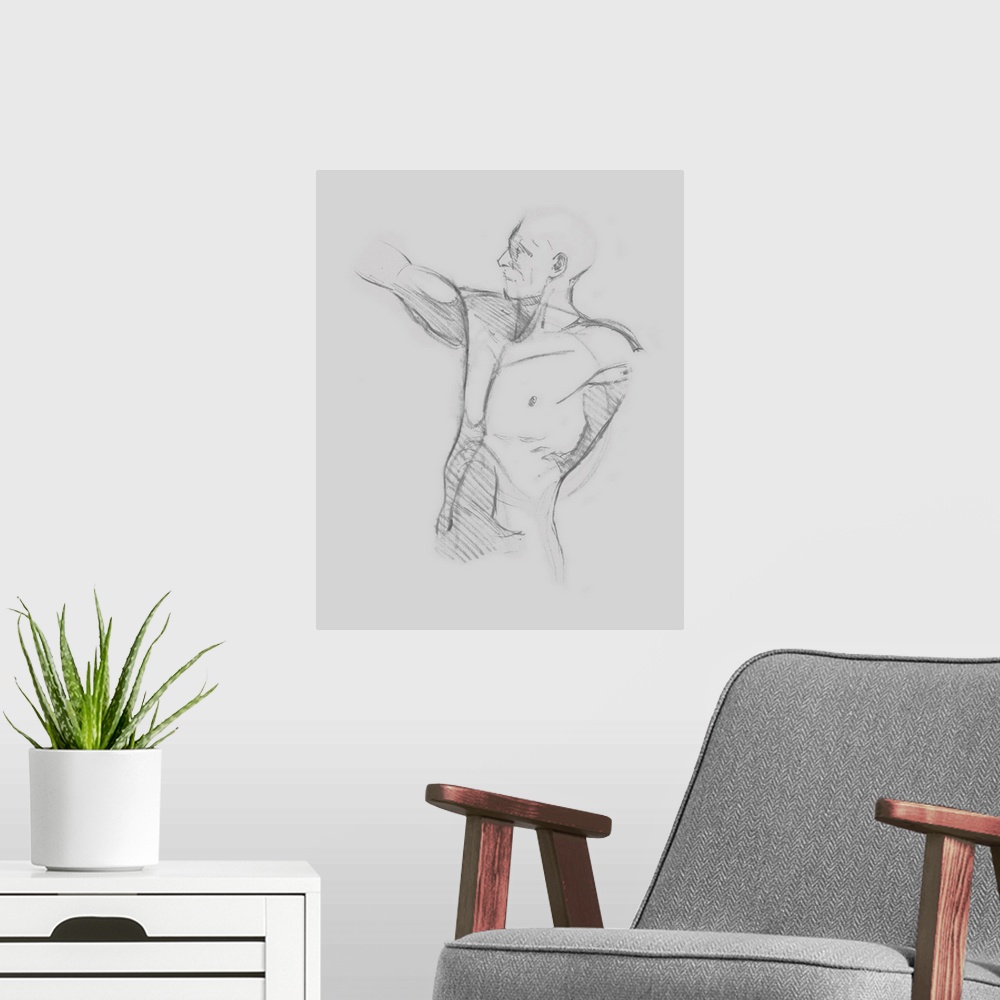 A modern room featuring Male Torso Sketch IV