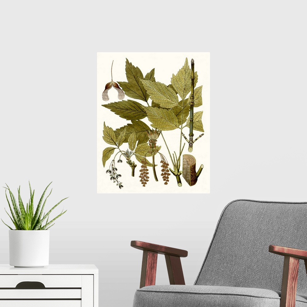 A modern room featuring A decorative vintage illustration of group of leaves.