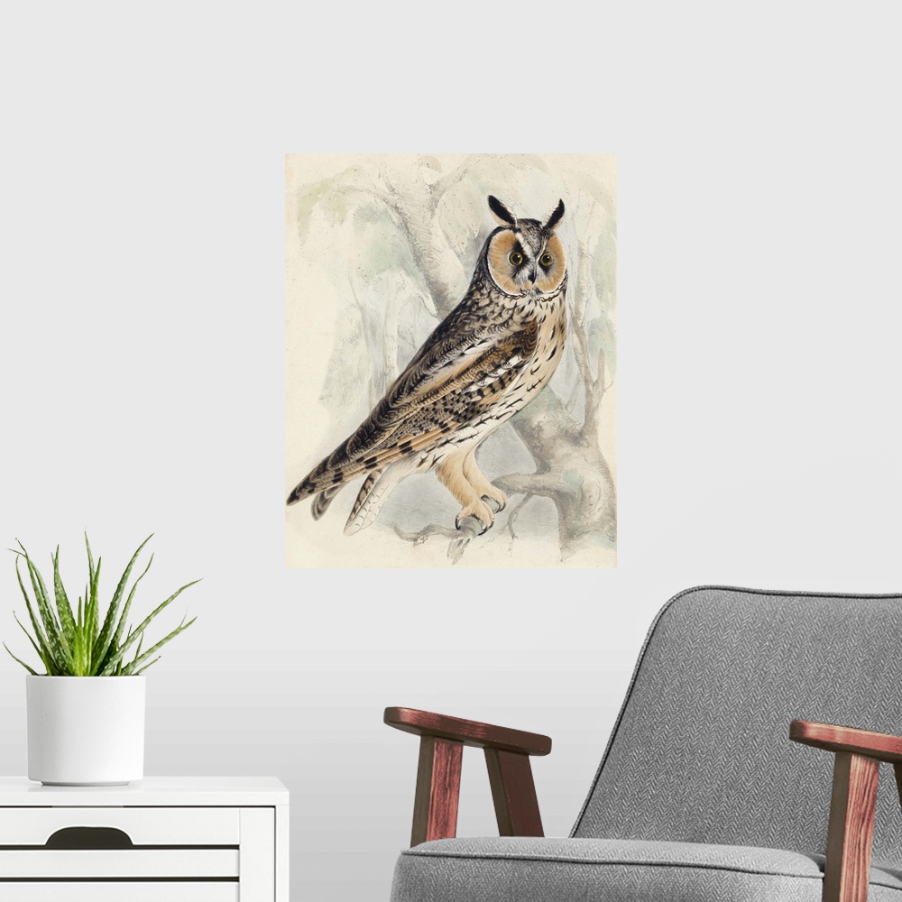 A modern room featuring Contemporary artwork of an owl illustration in a vintage style.