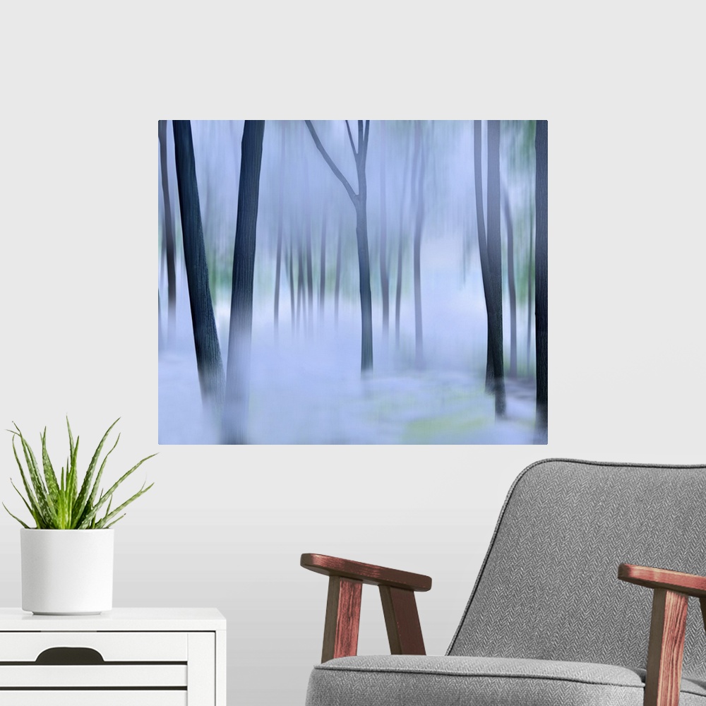 A modern room featuring Misty Mountains XVI