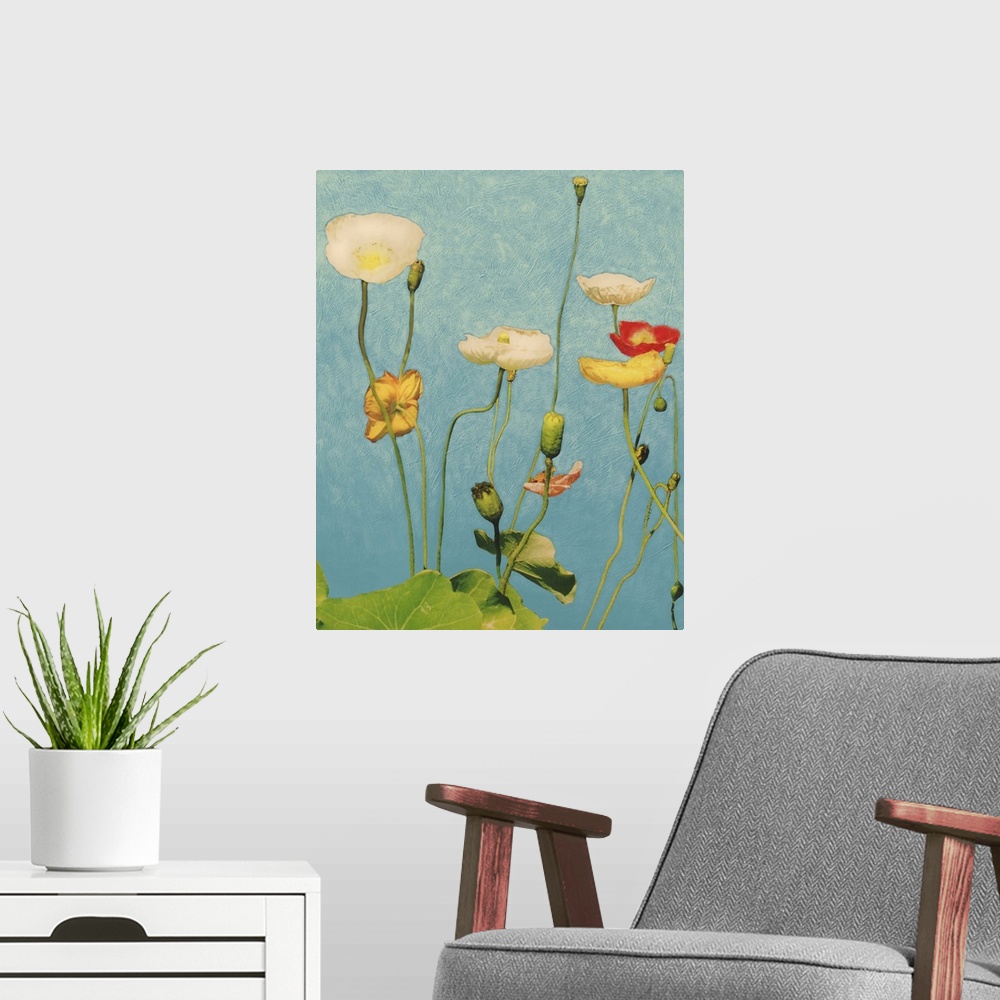 A modern room featuring Poppies II