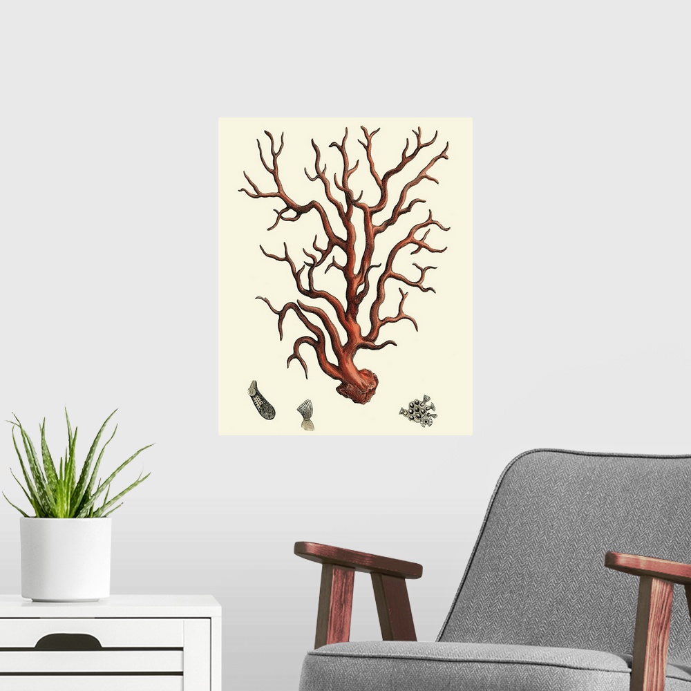 A modern room featuring Contemporary artwork of a vintage style red coral illustration.