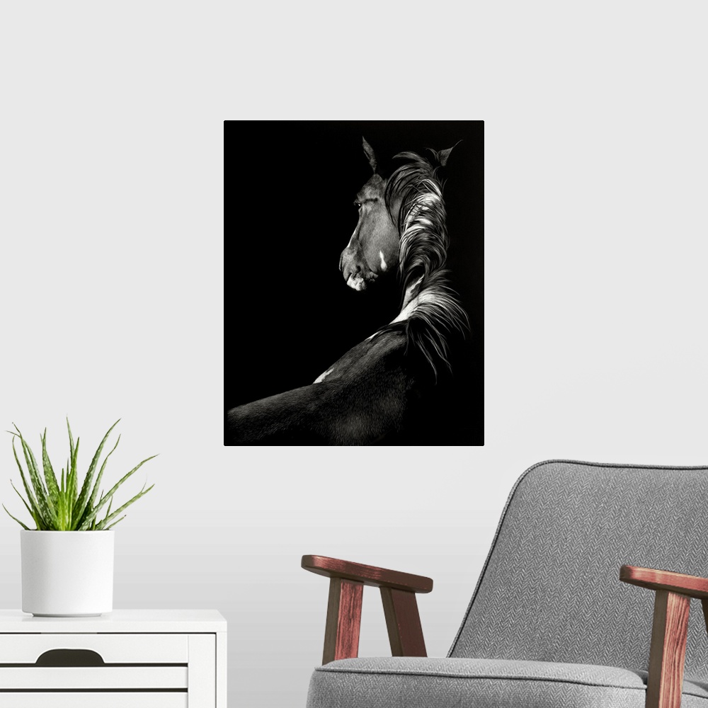 A modern room featuring Black and white illustration of a horse seen from the back.