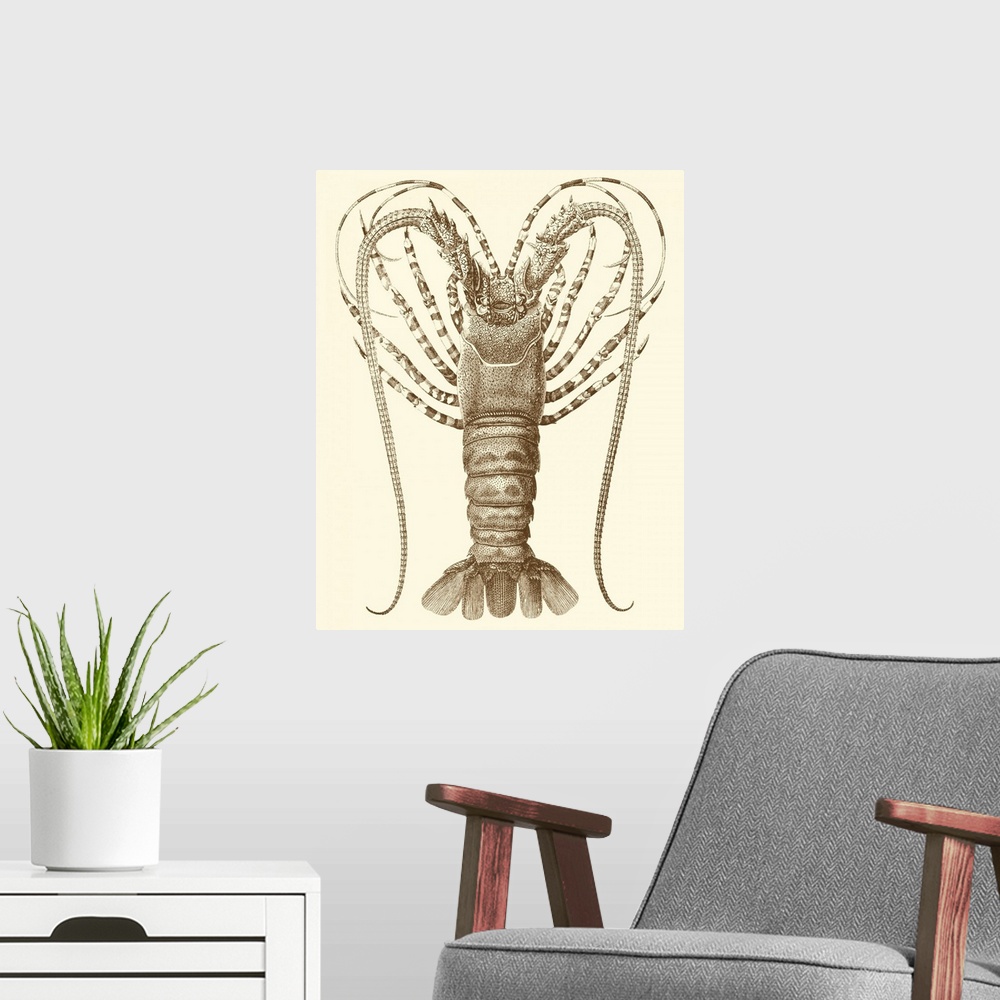 A modern room featuring Sepia Lobster I