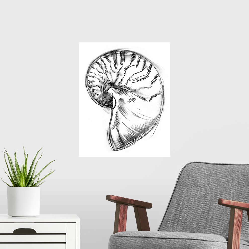 A modern room featuring Shell Sketch IV