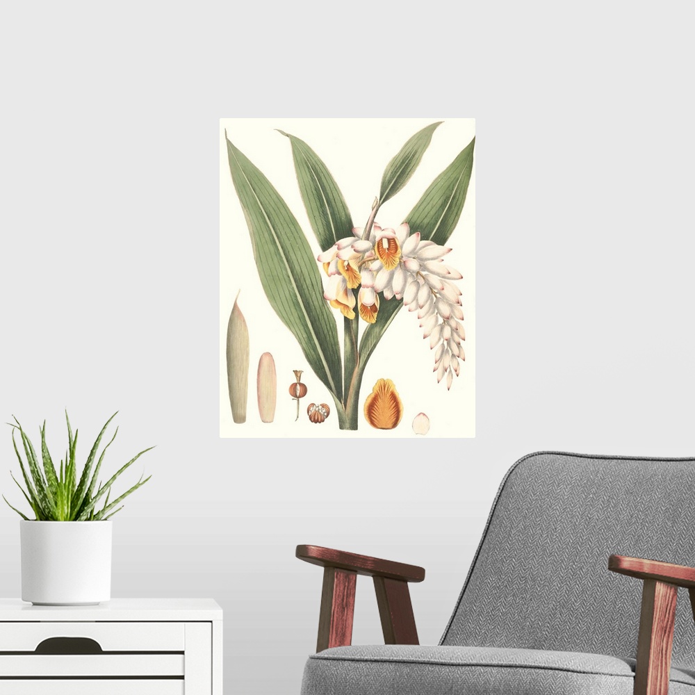 A modern room featuring Decorative artwork of tropical plants in soft tones.