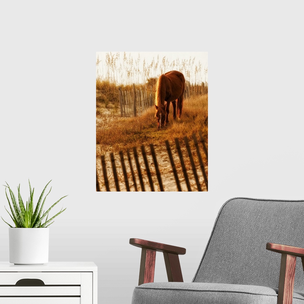A modern room featuring Fine art photo of a horse grazing on grassy dunes.