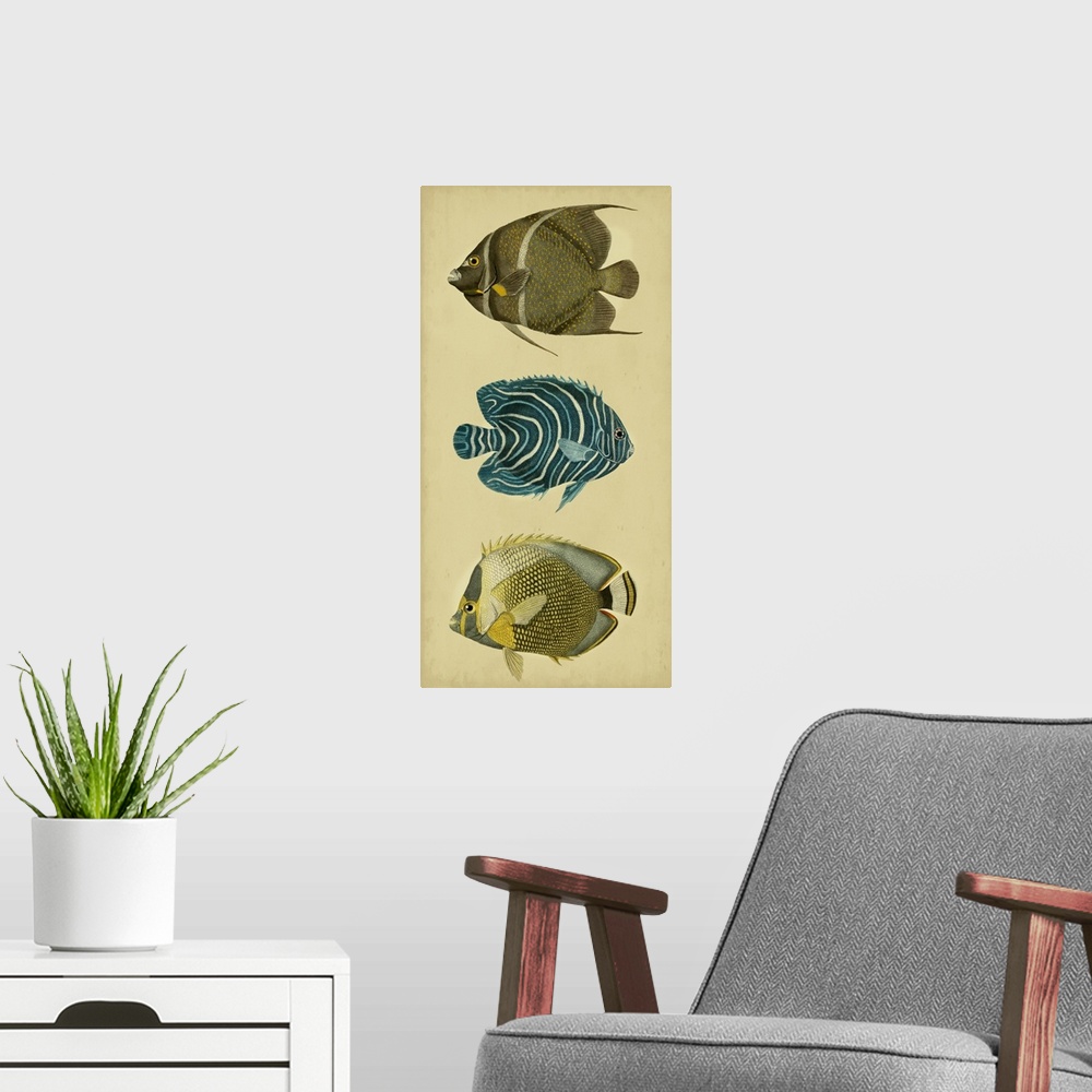 A modern room featuring Trio of Tropical Fish III