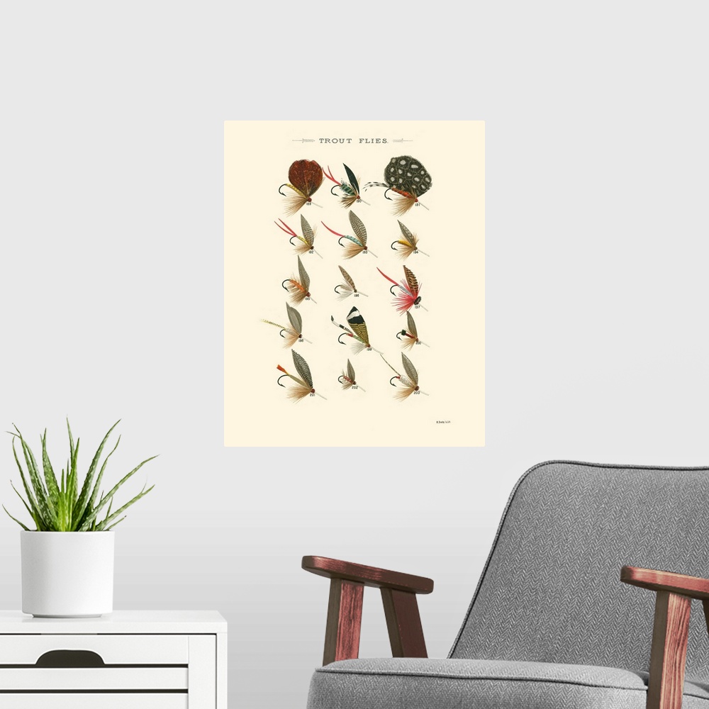 A modern room featuring Trout Flies II
