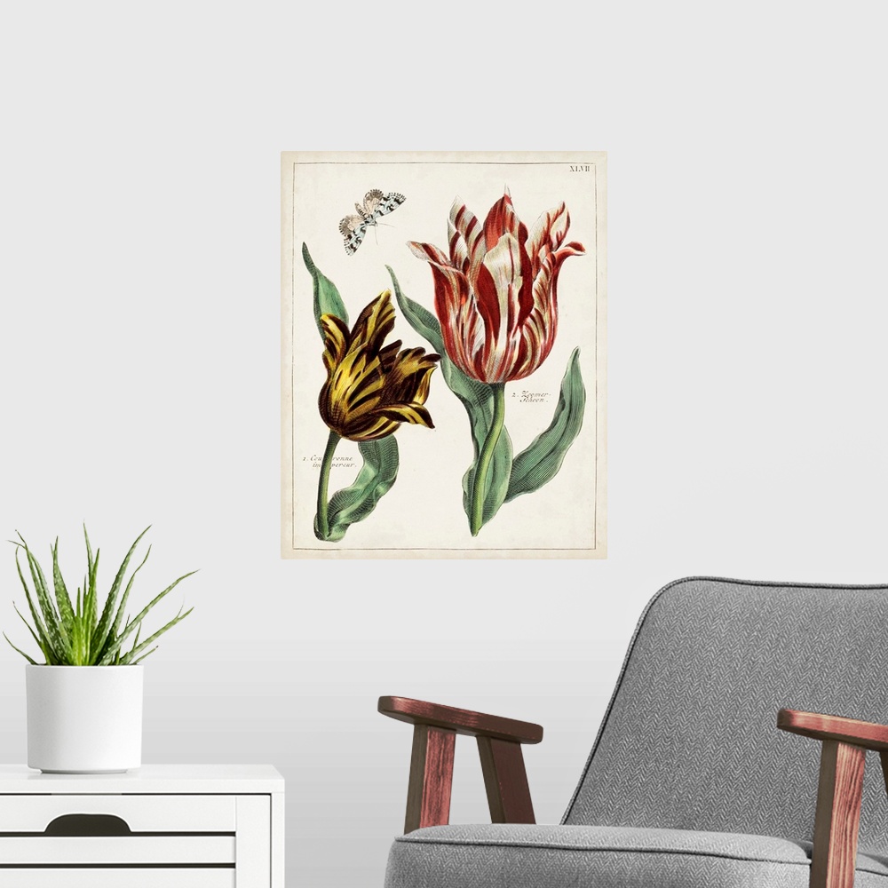 A modern room featuring Tulip Classics IV