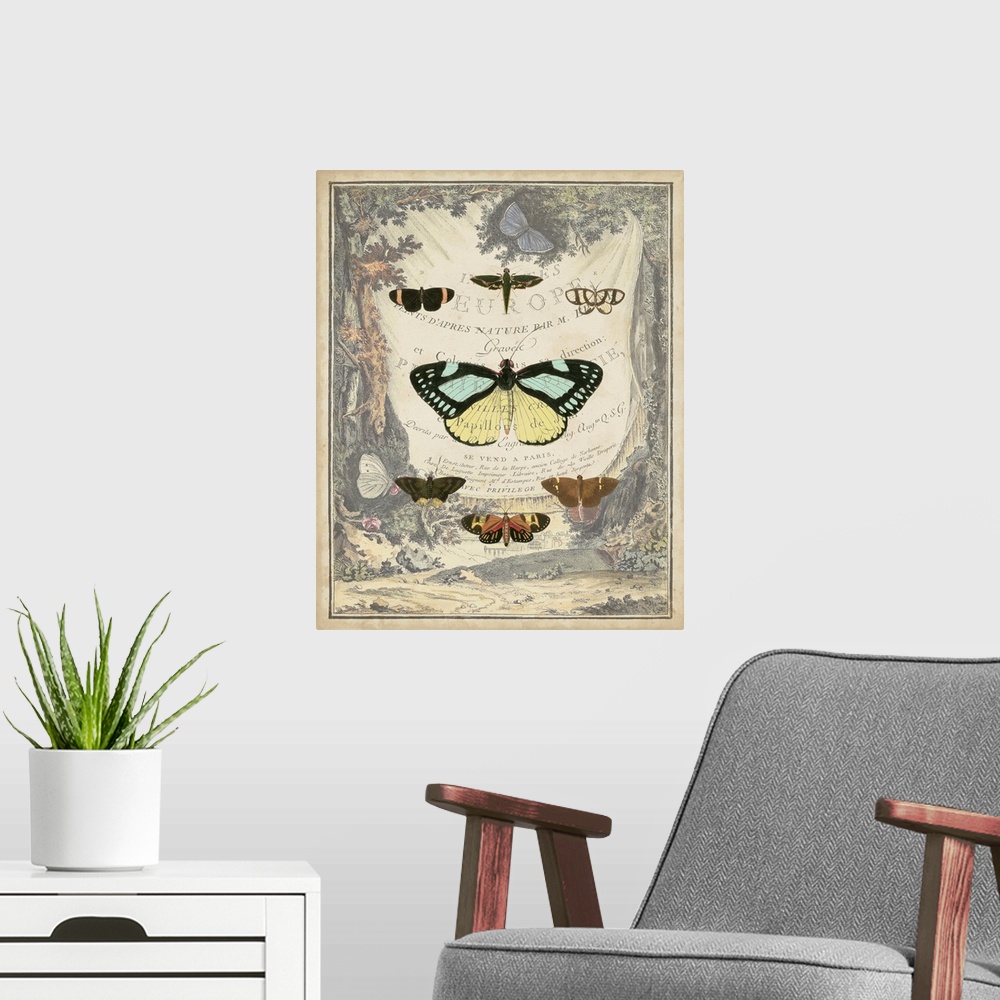 A modern room featuring Vintage Butterfly Bookplate