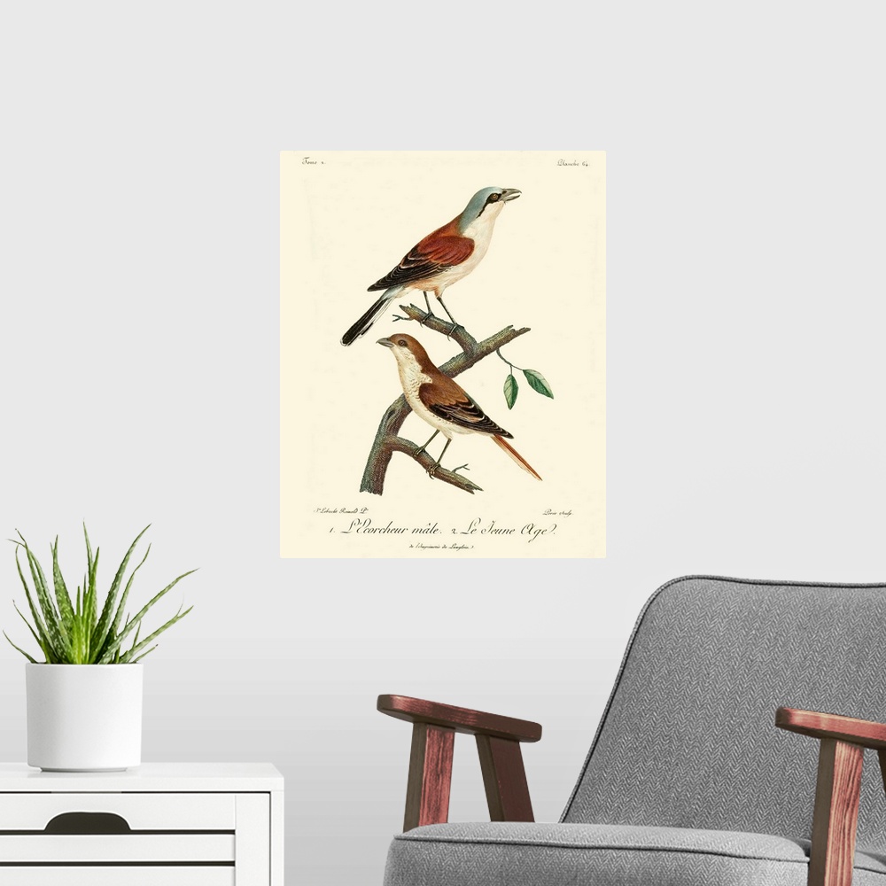 A modern room featuring Vintage French Birds I