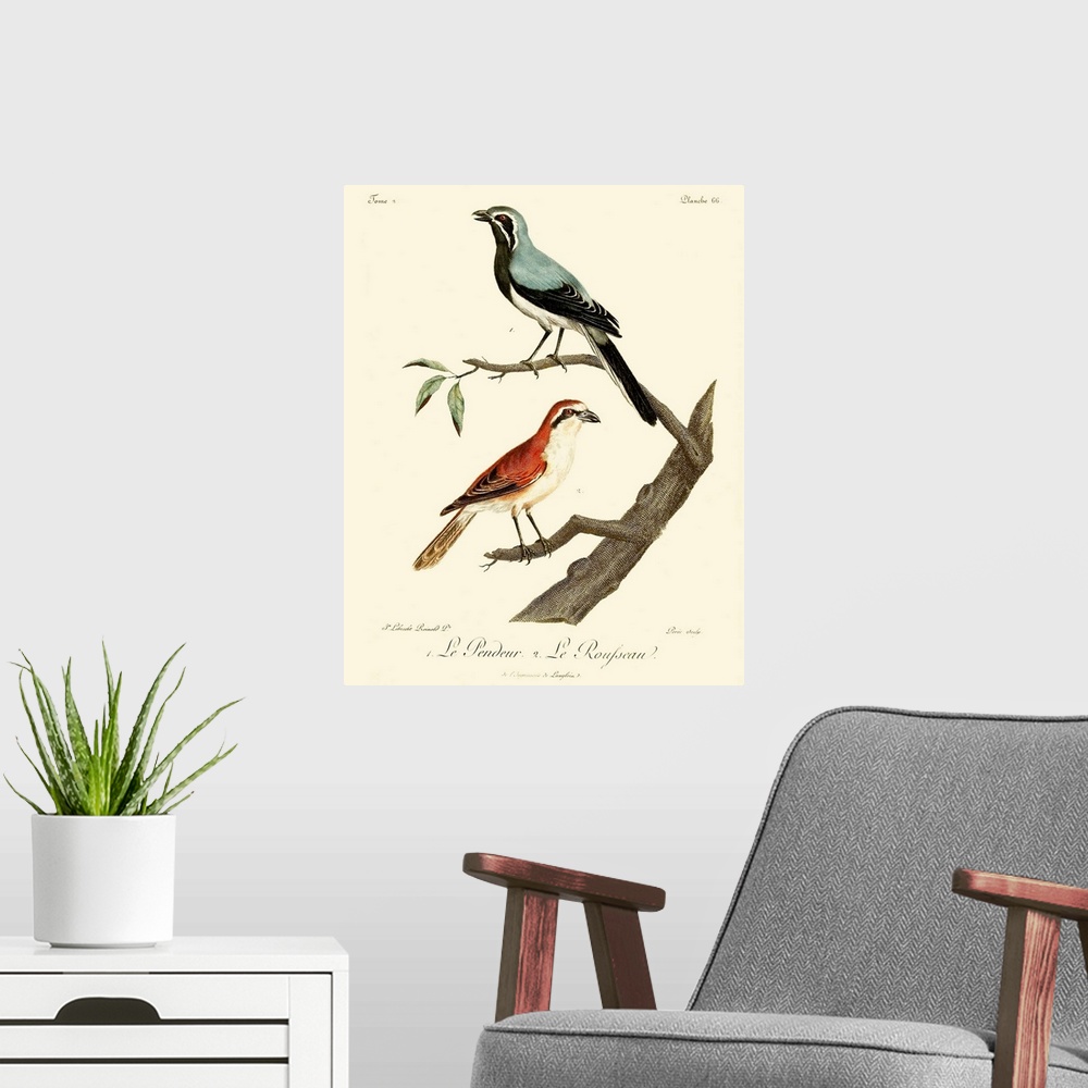 A modern room featuring Vintage French Birds II