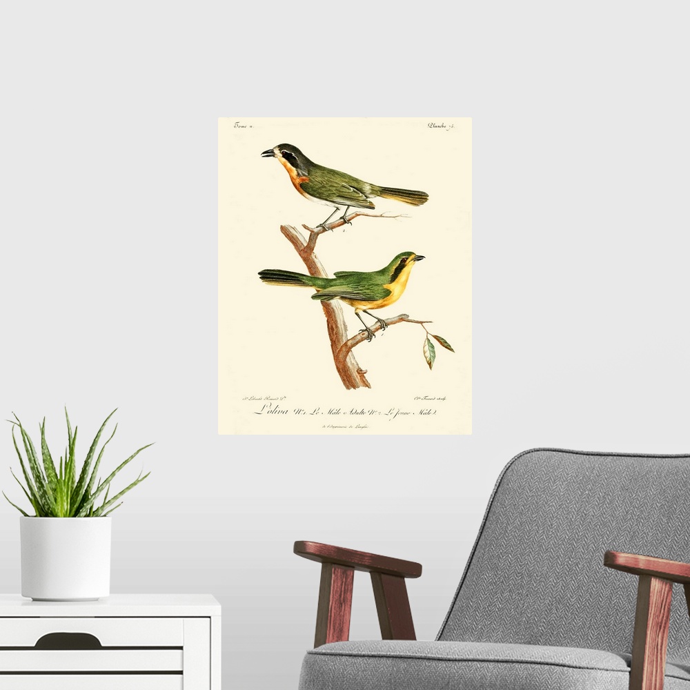 A modern room featuring Vintage French Birds VI