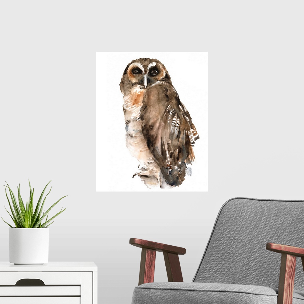A modern room featuring Watercolor Owl I