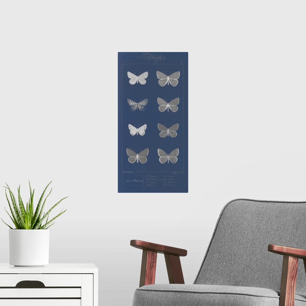 A modern room featuring Decorative artwork featuring black and white illustrated butterflies on a dark blur background.