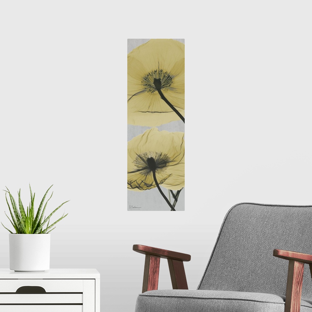 A modern room featuring Vertical x-ray photograph of two Icelandic poppies on a cool toned background.