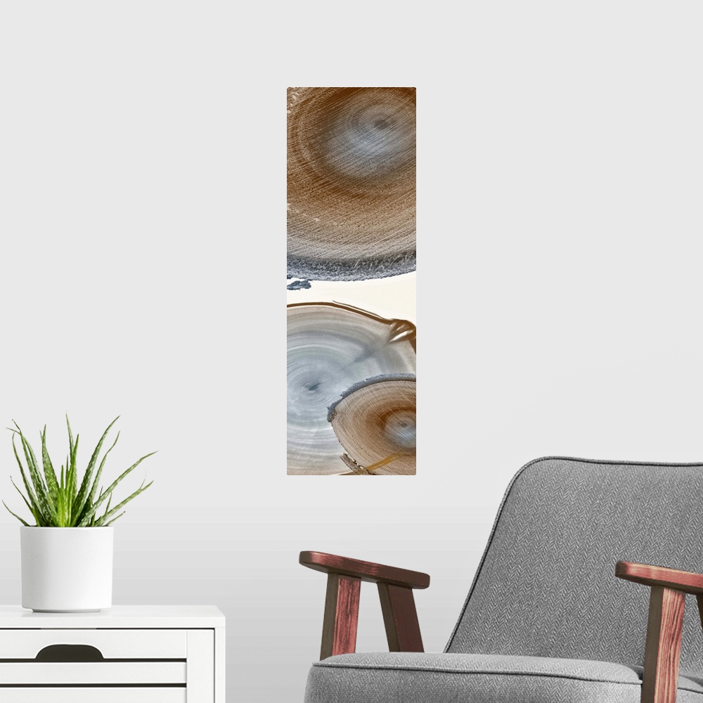 A modern room featuring Vertical x-ray photograph of a group of cut tree sections, against a light background.