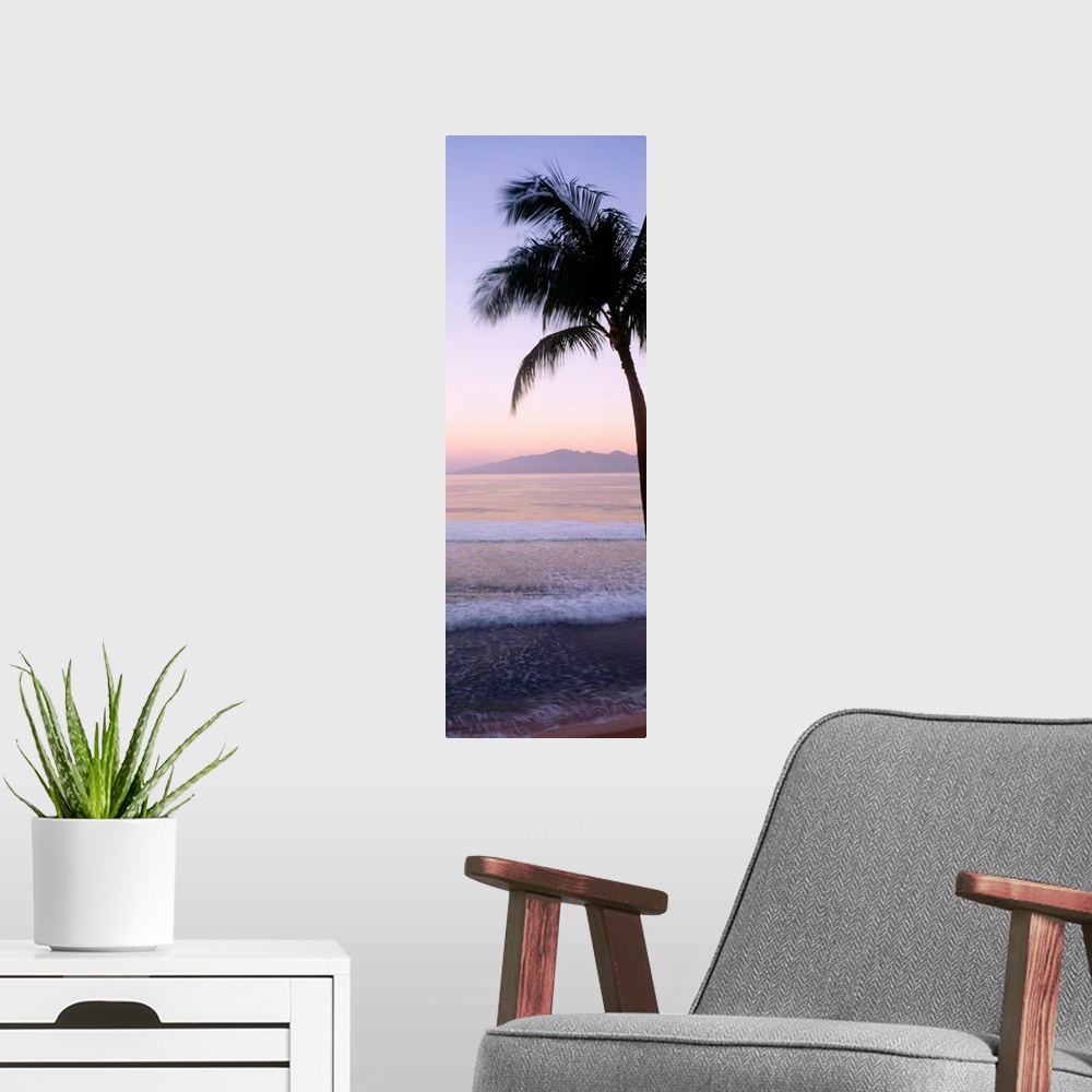 A modern room featuring Hawaii, West Maui Beach At Twilight, Palm Tree Along Shoreline