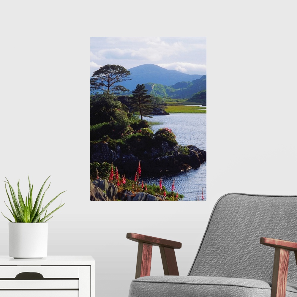 A modern room featuring Upper Lake, Killarney, Co Kerry, Ireland; Lake With Mountain In The Distance