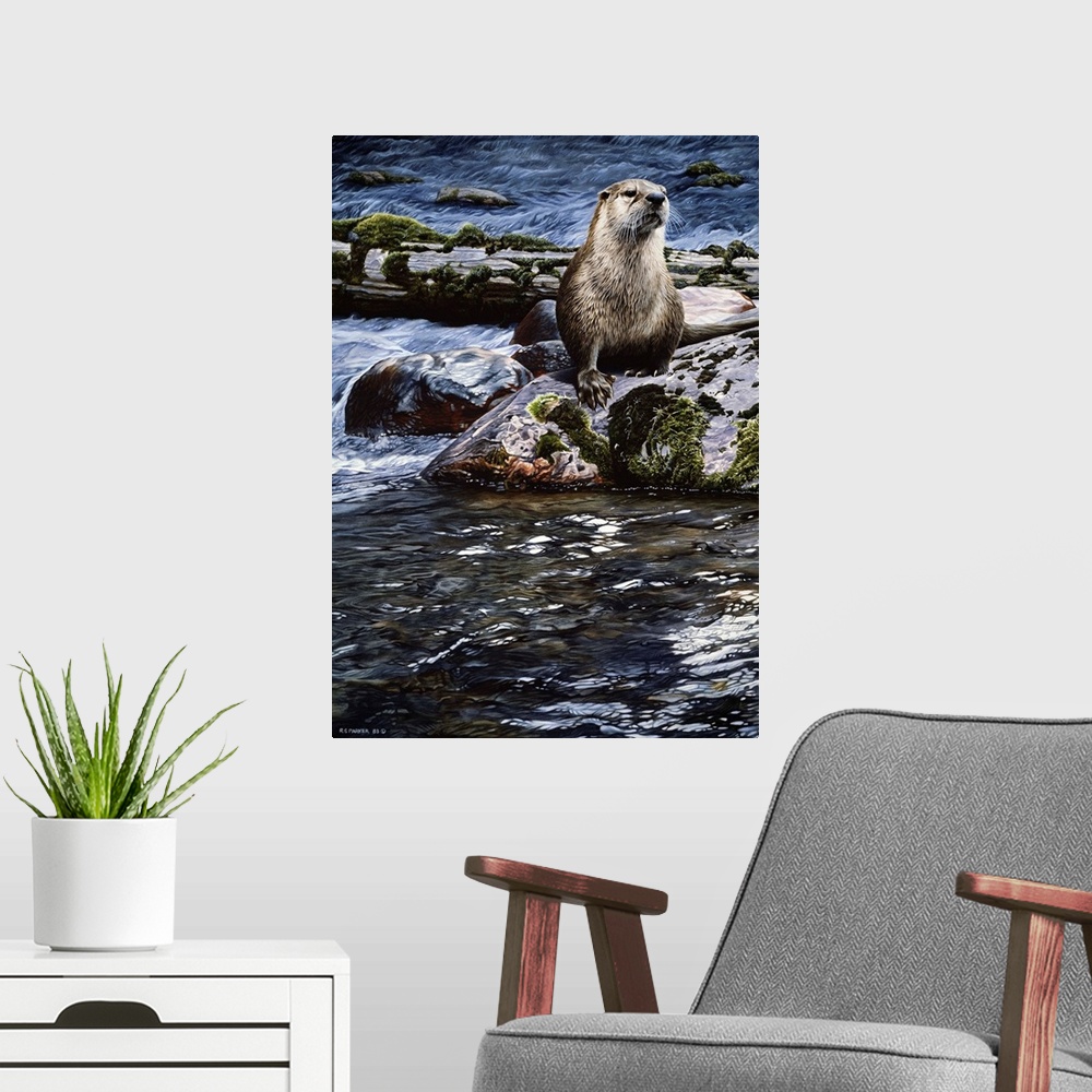 A modern room featuring An otter sitting on a rock in the middle of the river.