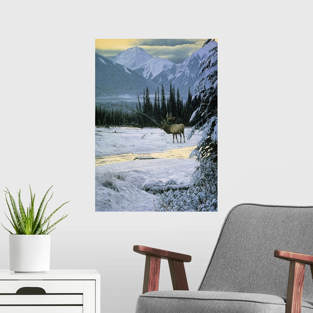 A modern room featuring An elk makes its way across the snow covered landscape.