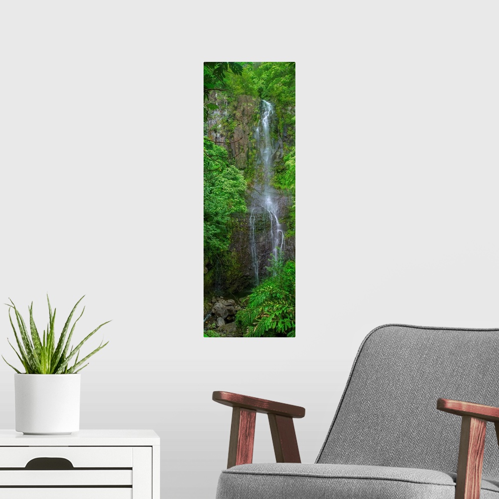 A modern room featuring Tall panoramic photograph of a waterfall in Maui surrounded by lush greenery.