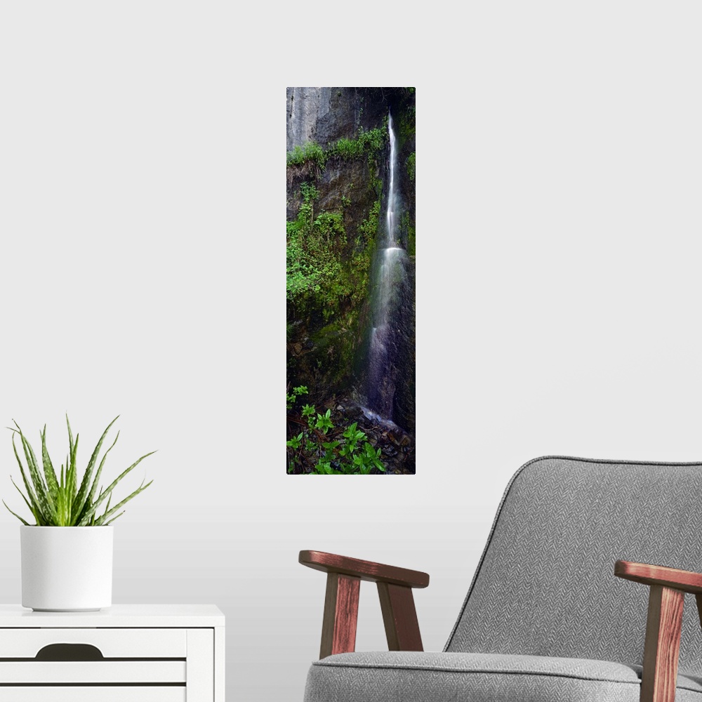 A modern room featuring North America, United States, West, California, Sequoia National Park. Rare waterfall tumbles thr...