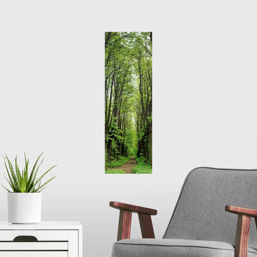A modern room featuring Russia, Moscow Oblast, Moscow, park of estate Kuskovo, vertical panorama