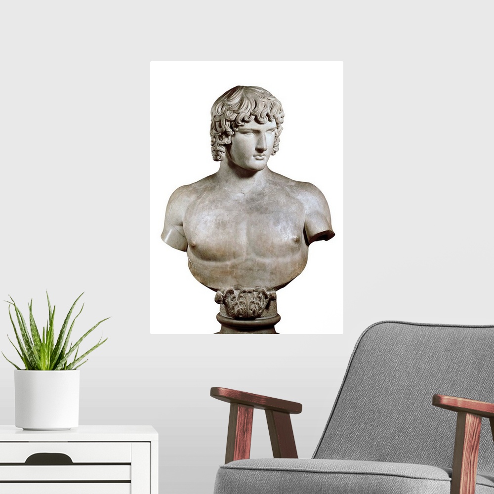 A modern room featuring Bust of Antinous, Roman art