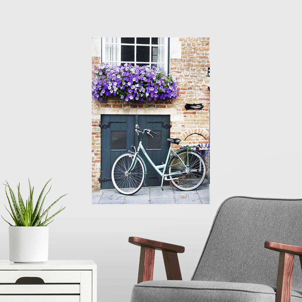 A modern room featuring A bicycle parked near a small door with a flowerbox full of purple flowers overhead.