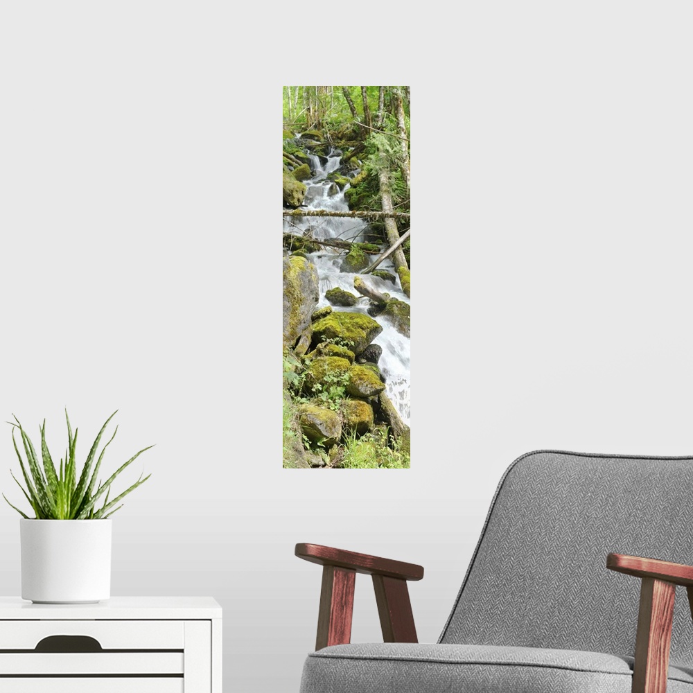 A modern room featuring Waterfall with mossy rocks in a forest in the Cascades.