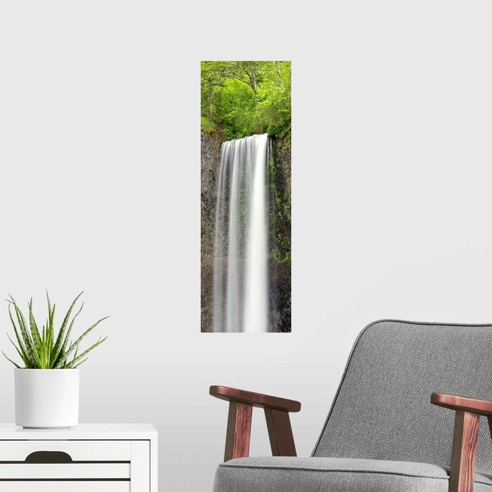 A modern room featuring A tall waterfall in a green forest in Oregon.