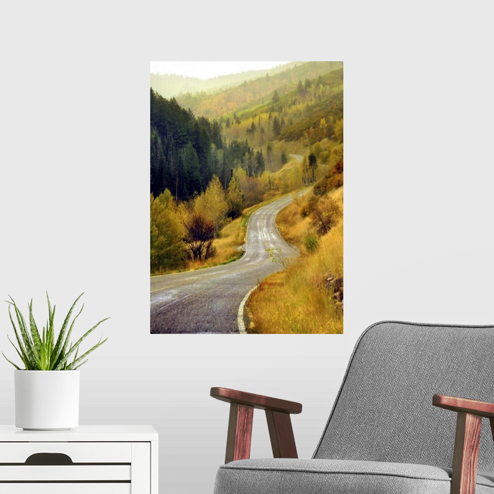 A modern room featuring Curve mountain road with autumn trees in Cascade Springs.