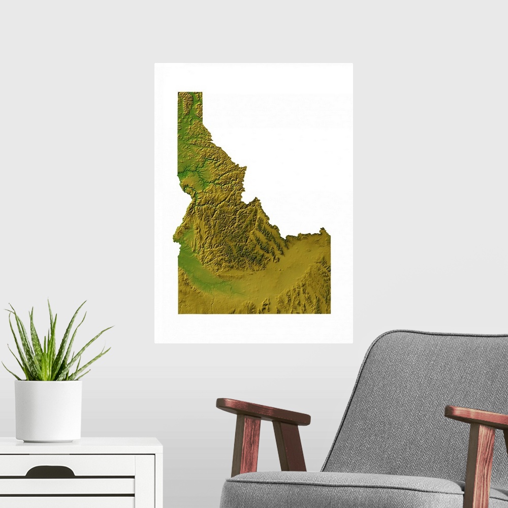 A modern room featuring Idaho topographic map